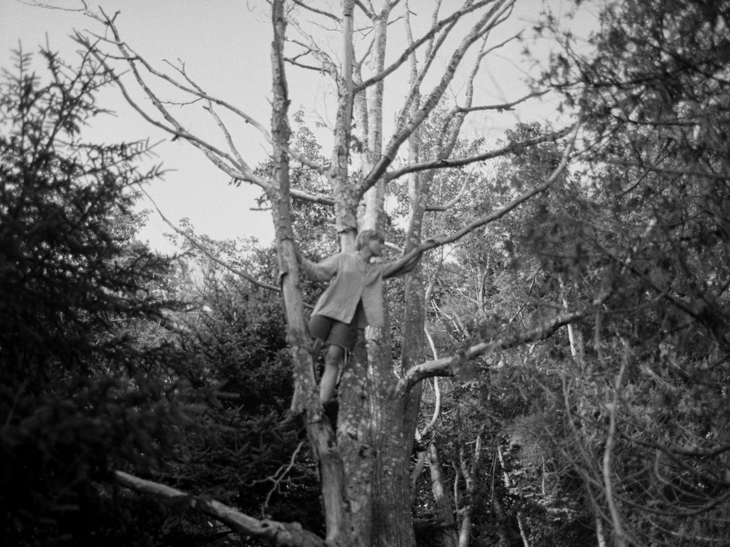 between miles : behind words - Katie Noble